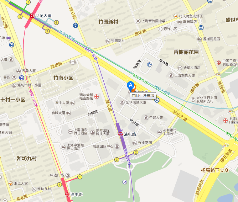 向阳生涯