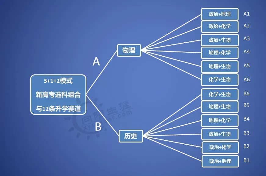 转给学校老师、高考生和家长——七分考三分报，新高考模式下“乱象丛生”，别让好分数毁在学科选择